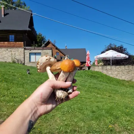 Zagroda Lepiarzówka Alojamento de Acomodação e Pequeno-almoço