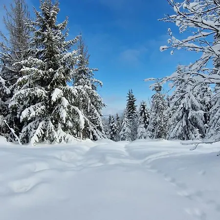 Zagroda Lepiarzówka Wisła