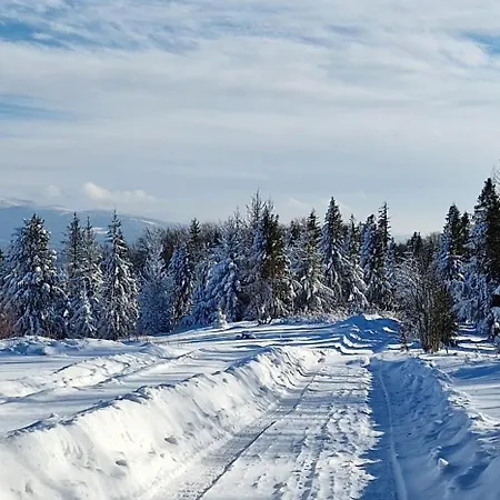 Panzió Zagroda Lepiarzowka I 3*