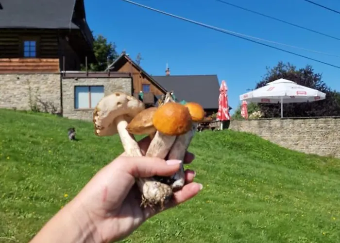 Zagroda Lepiarzowka I Bed & Breakfast