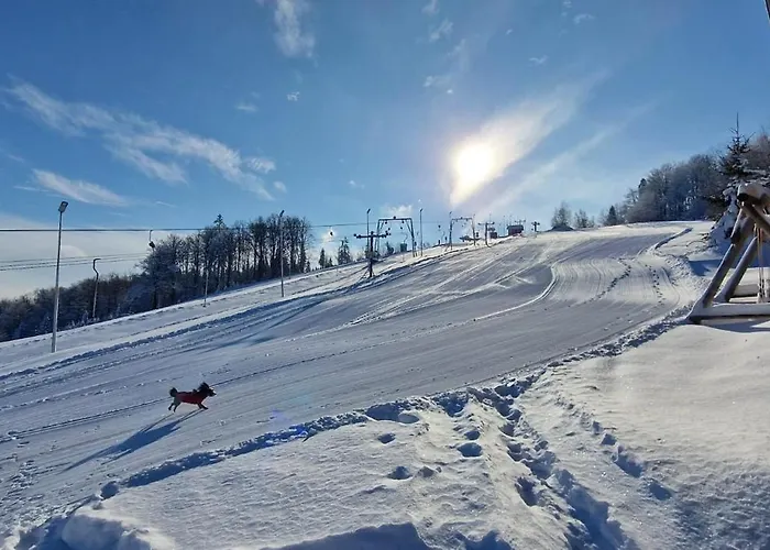 Bed & Breakfast Zagroda Lepiarzowka I Wisla