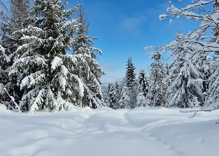 Zagroda Lepiarzowka I Wisla