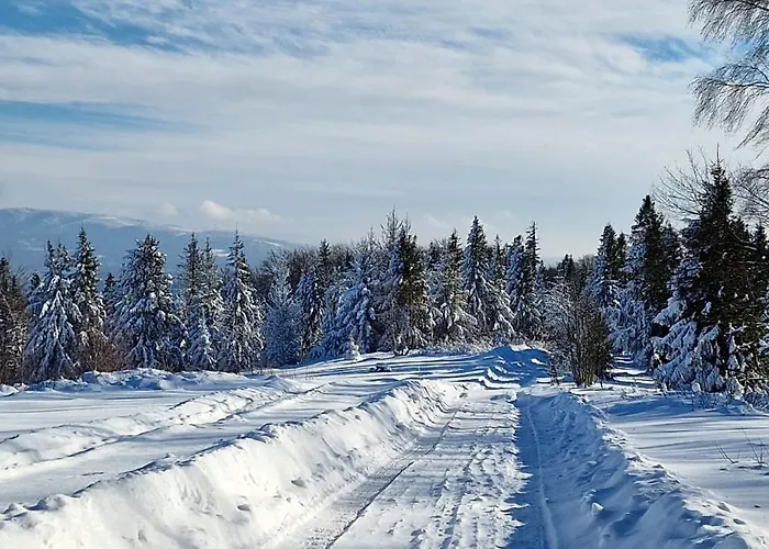 Bed & Breakfast Zagroda Lepiarzowka I 3*